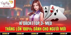 Xì Dách | Top 3+ Mẹo Thắng Lớn 100% Dành Cho Người Mới