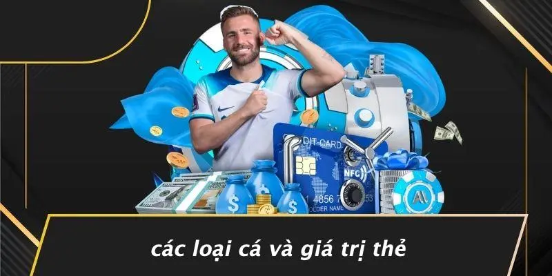 Các Loại Cá Và Giá Trị Thẻ